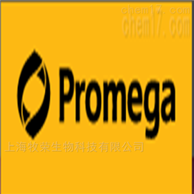 E4121promega 试剂pGL4.43 luc2P / XRE / Hygro