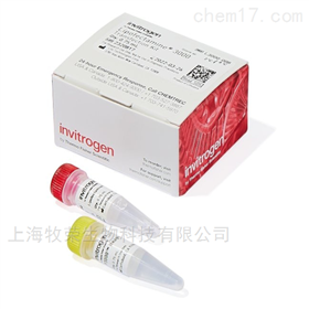 现货常用生化试剂Invitrogen L3000-008