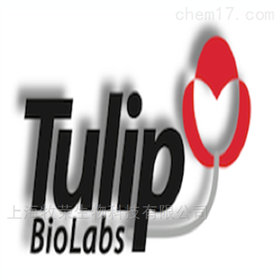 Tulip Biolabs抗体