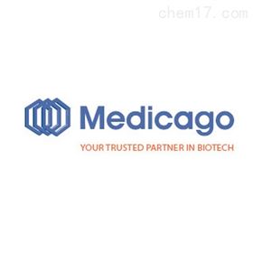 瑞典Medicago绝对凝集素