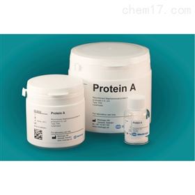 Protein A瑞典Medicago 生物活性蛋白