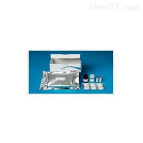 10-0027-1Protein L Ligand Leakage ELISA