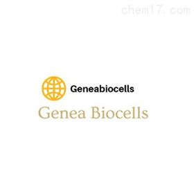 Genea Biocells试剂经销