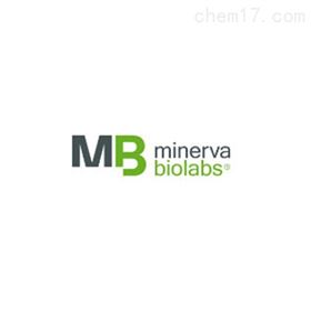 Minerva Biolabs试剂供应