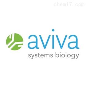 Aviva Systems Biology抗体