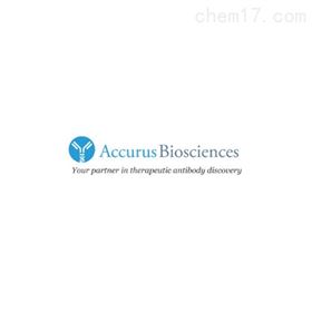 T1003-250Accurus Biosciences 培养基补充剂