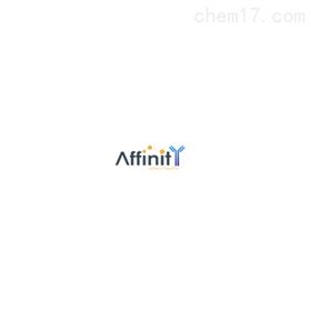 Affinity Biosciences细胞信号转导抗体