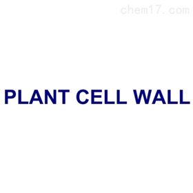 plantprobes  单克隆抗体