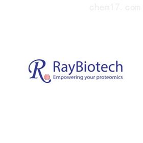 raybiotech 小鼠细胞因子阵列 C3