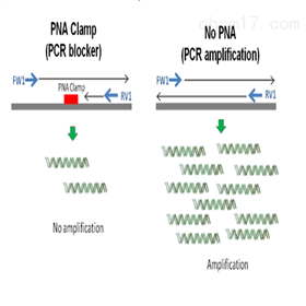 pnabio PCR 阻断剂