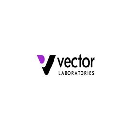 SP-8400-15Vector® TrueVIEW® 自体荧光猝灭试剂盒