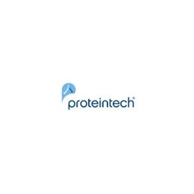 proteintech  抗体标记试剂盒