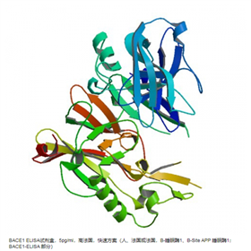 BACE1-ELISAfivephoton BACE1 ELISA 试剂盒