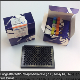 PD1016mediomics：Bridge-It PDE检测试剂盒