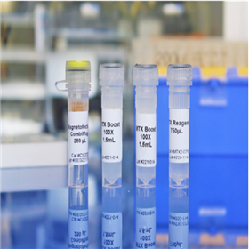 MTX2-0750/MTX2-1000ozbiosciences试剂：Magnetofectamine™ O2