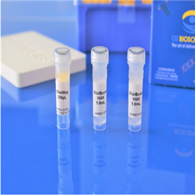 GL00250/GL00500/KGL0250ozbiosciences转染试剂：Glial-Mag