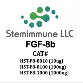 HST-F8stem-immune蛋白质：重组人FGF-8b