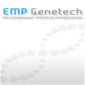 VN100Recombinant Human Vitronectin