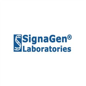 SL100568GenMute™ siRNA Transfection Reagent