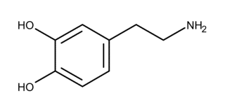 多巴胺的结构