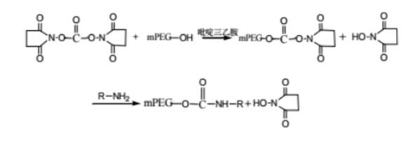 N,N-琥珀酰亚胺碳酸酯活化 PEG