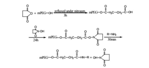 琥珀酸酐和 N-羟基琥珀酰亚胺活化 PEG