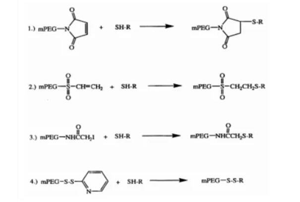 硫醇特异性修饰的PEG活化方法
