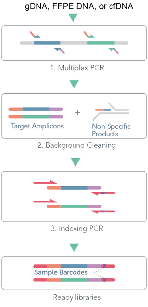 cleanplex DNA 扩增子测序工作流程