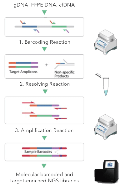 CleanPlex UMI 目标富集和文库制备工作流程