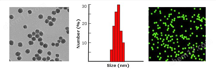 荧光二氧化硅颗粒（Silica nanoparticles, FITC lableled）