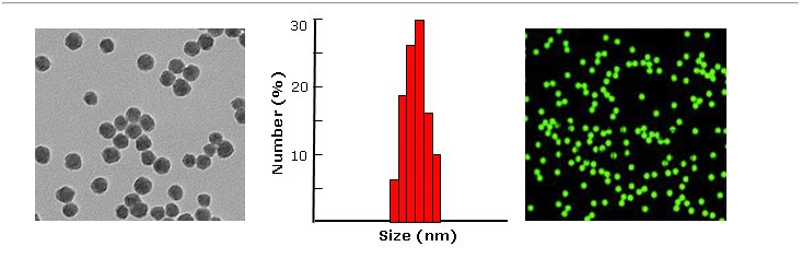 Silica Particles, aqueous suspension