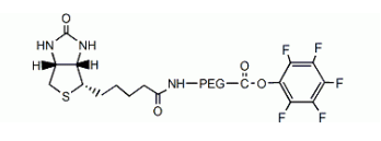 Biotin-PEG-PFP