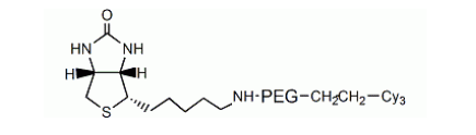 Cy3 PEG Biotin