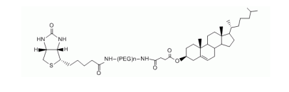 Tetrazine PEG Biotin