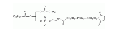 DMPE PEG Maleimide, DMPE-PEG-Mal