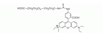 Rhodamine PEG Acid, RB-PEG-COOH