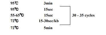 Fast PCR Mix