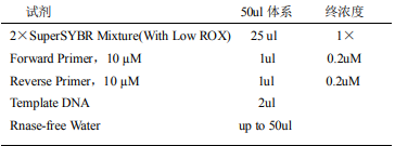 SuperSYBR Mixture（With Low ROX）