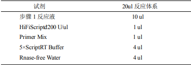 HiFiScript gDNA Removal cDNA Synthesis Kit