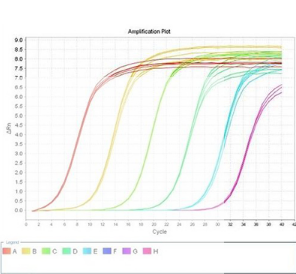 PerfectQ Universal Green qPCR Premix