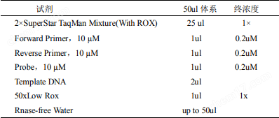 SuperStar TaqMan Mixture（With ROX）