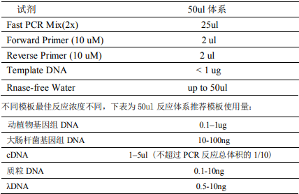 Fast PCR Mix