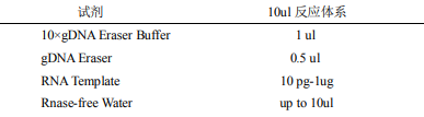 HiFiScript gDNA Removal cDNA Synthesis Kit