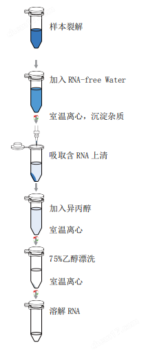 RNA-simple isolation Reagent