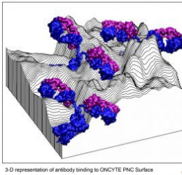 ONCYTE® Film slides