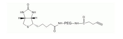 Alkyne PEG Biotin, Biotin PEG Alkyne