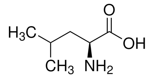 L-亮氨酸  BioUltra, ≥99.5% (NT)