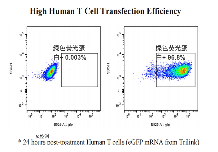 precigenome：  lipid flex T细胞试剂盒