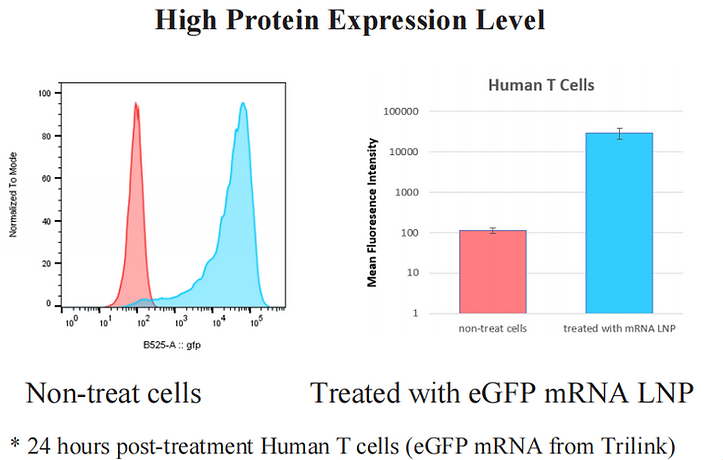 precigenome：  lipid flex T细胞试剂盒