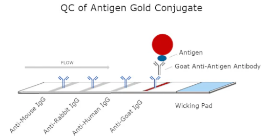 Conjugation QC Lateral Flow Dipstick Kit